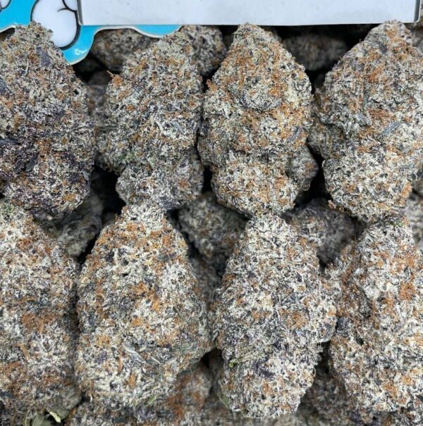 Blue Truffle Strain