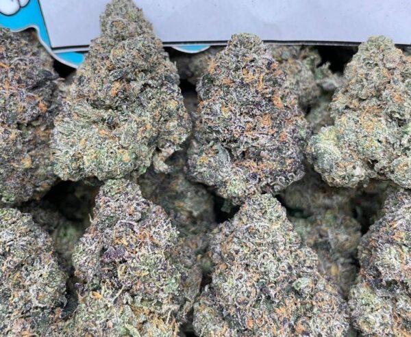 Sherbert Strain