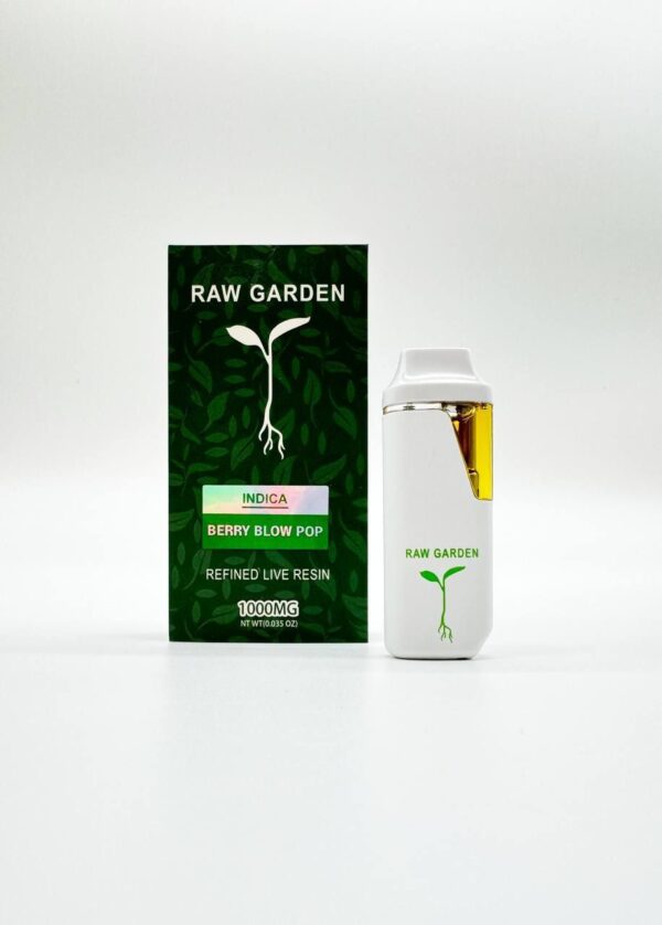 Raw Garden 1G Disposable