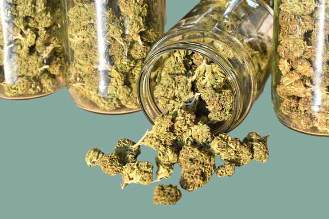 Cali Weed Guide